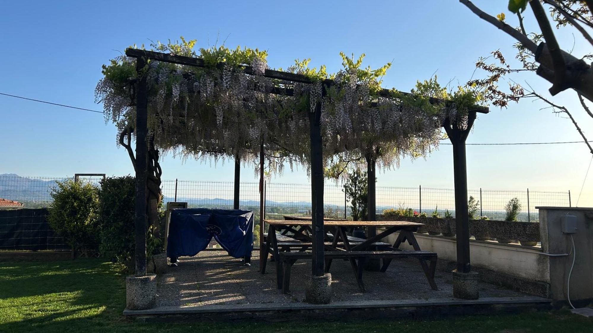 La Casa Di Pietro Guest house